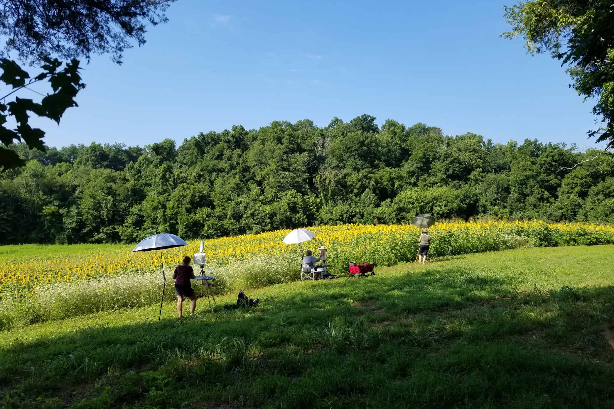 Painters next to a sunflower field in Forks of the River WMA