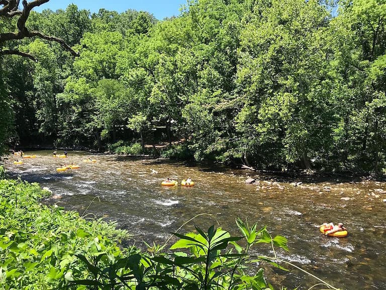 People are tubing down a gentle, shallow river surrounded by lush green trees and foliage on a sunny day. The bright yellow tubes contrast with the natural scenery, creating a lively, recreational atmosphere.